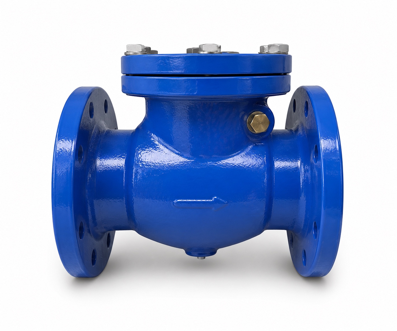 Check valve body